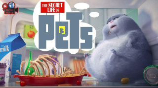 Cat kitchen bowl food secret - beeple free wallpaper