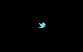Blue twitter bird dark sky - constant free wallpaper