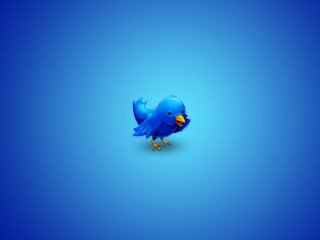 Blue bird outdoors penguin sky - conceptual art free wallpaper