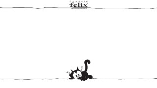 Black white cat laying ground - text free wallpaper