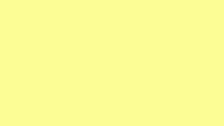 Yellow background black white cat - constant permeke free wallpaper