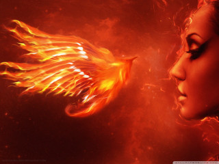 Woman bird fire hair shoulder - an airbrush painting free wallpaper for desktop
