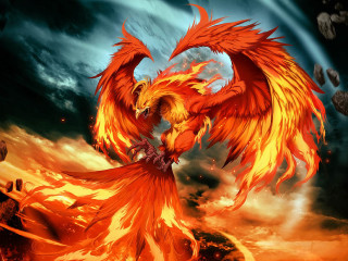 Bird orange wings fireball sky - anne stokes free wallpaper for desktop
