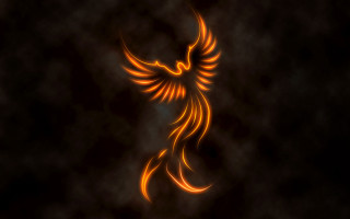 Bird orange flames flying dark - smoke and fog free wallpaper