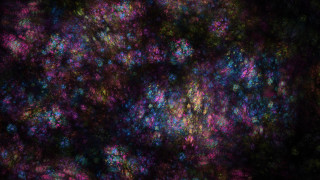 Colorful flowers night sky dark - the dark night sky free wallpaper