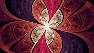 Colorful abstract fractals mandelbrot lace - a black center free wallpaper