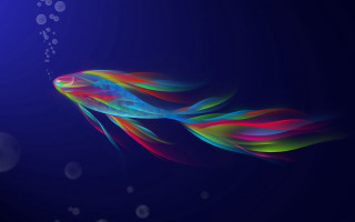 Colorful fish floating bubbles dark - the water free wallpaper