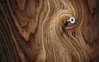 Wooden surface white knob flower - photorealistic imagery free wallpaper