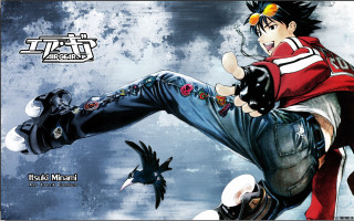 Man kick bird flying another - another man free wallpaper
