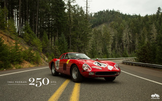 Red sports car forest road 3 - tall tree free wallpaper