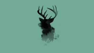 Deer head antlers green background - mist free wallpaper
