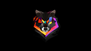 Colorful wolf head black background - left free wallpaper