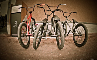 Two bikes parked brick road - assemblage free wallpaper