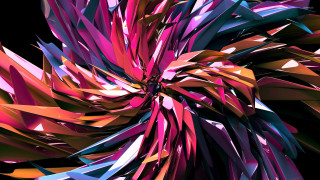 Colorful abstract flower petals center - the center of the image free wallpaper