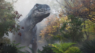Large dinosaur forest trees bushes - fog free wallpaper