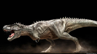 Dinosaur mouth open teeth wide 2 - a dinosaur free wallpaper