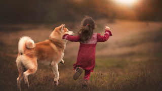 Little girl playing dog field - the wind free wallpaper