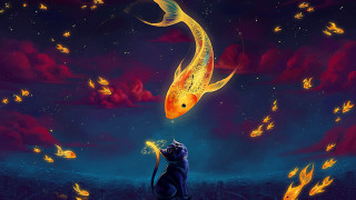 Cat sitting rock fish sky - mouth free wallpaper
