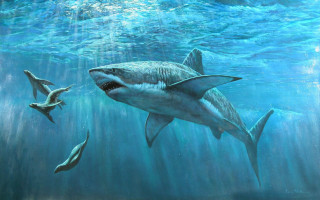 Shark dolphins swimming ocean together - photoreal free wallpaper