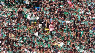 Stadium crowd green white frisbee - red free wallpaper