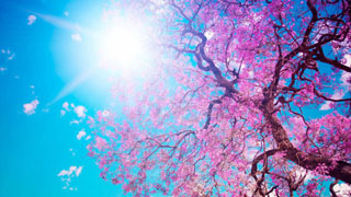 Free Sky wallpapers