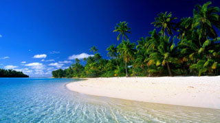 Free Summer wallpapers