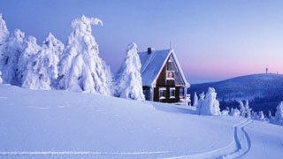 Free Winter wallpapers